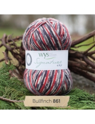 WYS Signature 4 Ply Country Birds