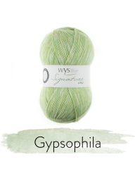 WYS Signature 4Ply The Florist Collection