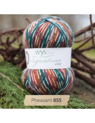 WYS Signature 4 Ply Country Birds